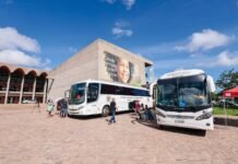 Alepi e TJ-PI oferecem serviços gratuitos na Esplanada da Casa