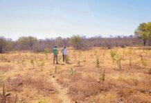 Piauí terá calor acima da média e chuvas irregulares no último trimestre de 2026